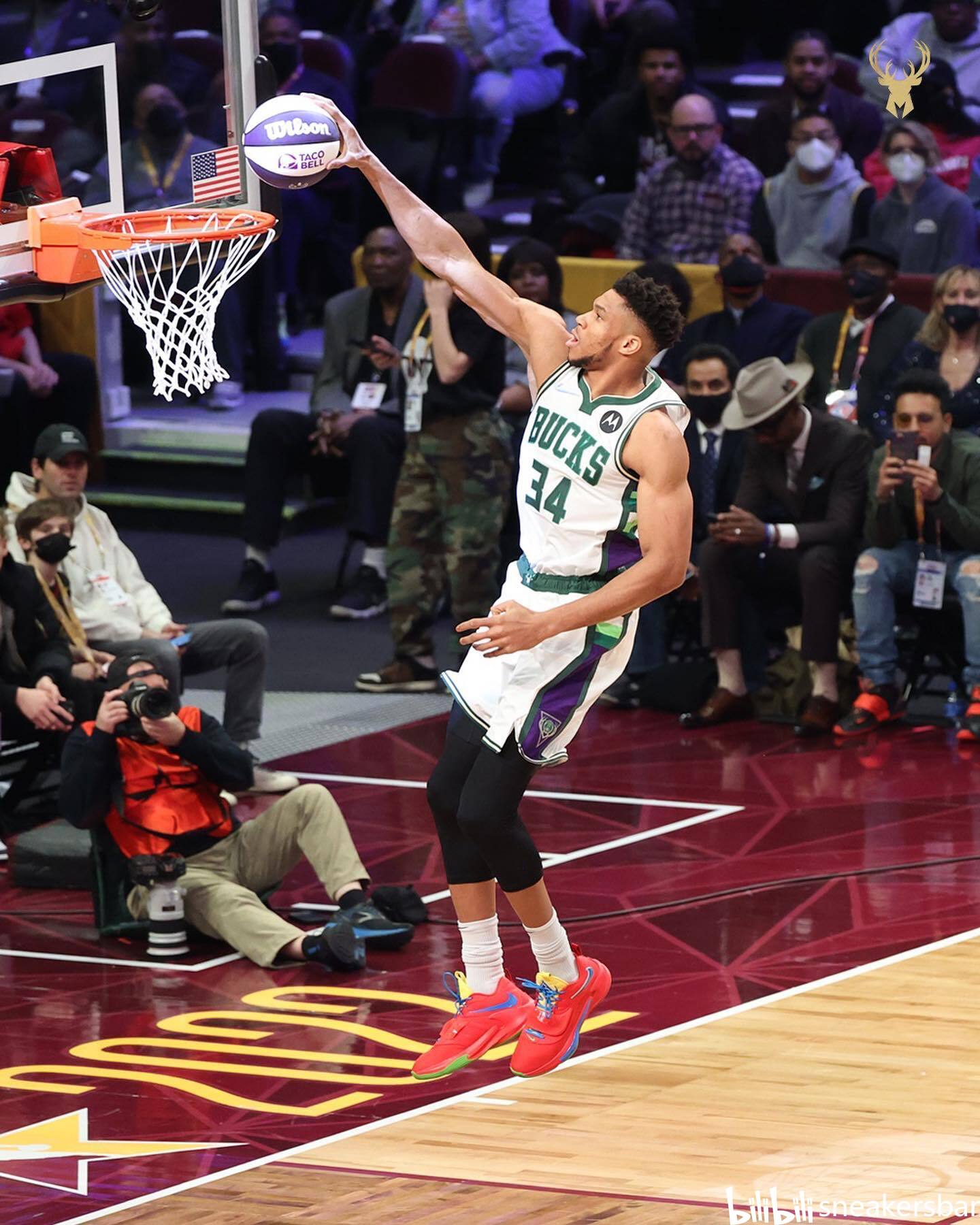 遗迹与生态 遗迹与生态