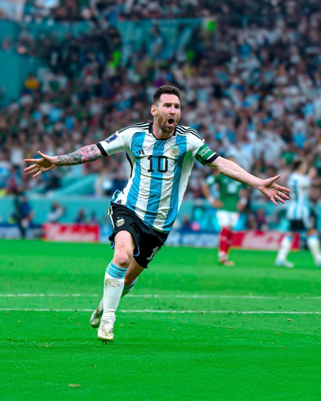 杨瀚森后脑 杨瀚森后脑